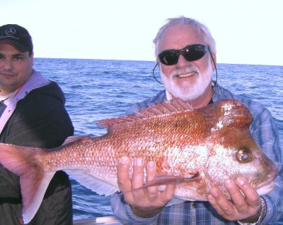 Ozzie snapper